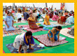 Yoga Camps in India,Yoga Program for Kids