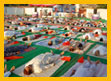 Yoga Training Center