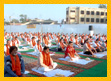 Adult Yoga Program,Yoga Camps in India,Yoga Program for Kids